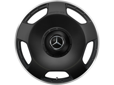   AMG G class W463 R22 (,  2)