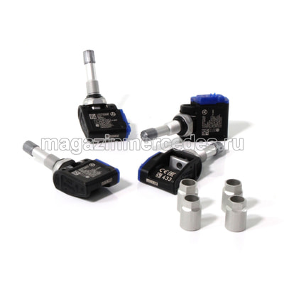      Maybach Z223 A0009055619 (,  5)