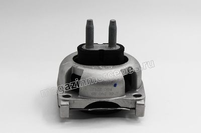     Mercedes M class W166 (,  1)