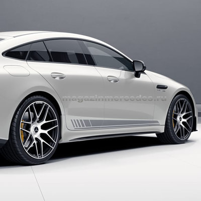  AMG   AMG GT X290 R21 (,  3)