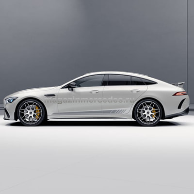  AMG   AMG GT X290 R21 (,  2)