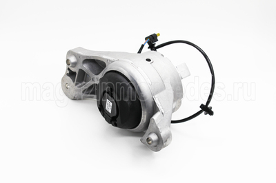     Mercedes S class W223 (,     Mercedes S class W223 A2232409900)