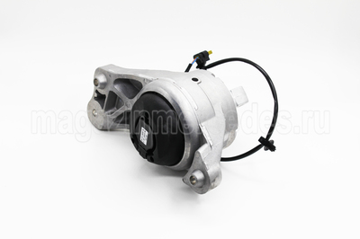     Mercedes S class W223 (,     Mercedes S class W223 A2232409900)