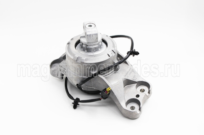     Mercedes S class W223 (,     Mercedes S class W223 A2232409900)