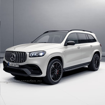  AMG  Mercedes GLS class X167 Maybach R23 (,  11)