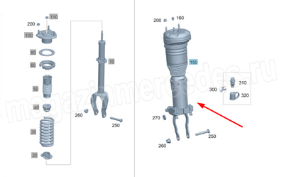     AIRMATIC DC /    Mercedes (,     AIRMATIC DC /    Mercedes 
A1673202805
A1673202904)