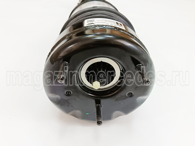   Mercedes  (,    Mercedes GLS class X167
A1673202904
A1673202805)