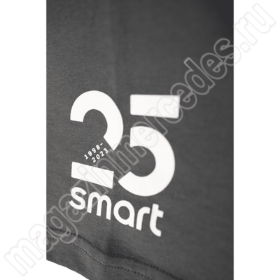 Футболка унисекс серая #3 с логотипом smart (Футболка унисекс серая #3 с логотипом smart) Футболка унисекс серая #3 с логотипом smart (фото, Футболка унисекс серая #3 с логотипом smart)