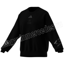 ������� ��������� adidas ������� ����� Mercedes AMG PETRONAS F1. ��� 2