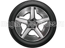 ����� AMG �������� C class W520 R19. ��� 2
