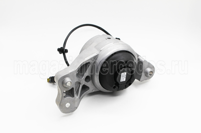     Mercedes S class W223 (,     Mercedes S class W223 A2232409900)