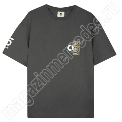 Футболка унисекс серая #3 с логотипом smart (Футболка унисекс серая #3 с логотипом smart) Футболка унисекс серая #3 с логотипом smart (фото, Футболка унисекс серая #3 с логотипом smart)