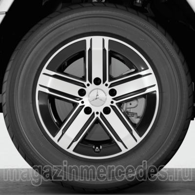    G class W465 EQG class R18