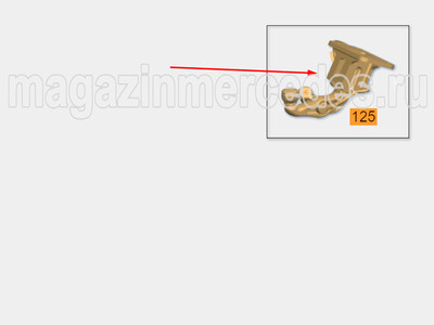 ������ ��������