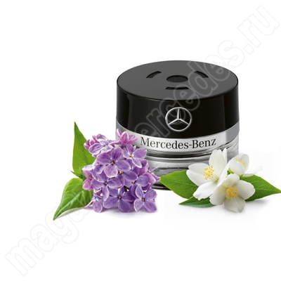 Ароматизатор салона DOWNTOWN MOOD (A0008990288) Ароматизатор салона DOWNTOWN MOOD (фото, A0008990288)