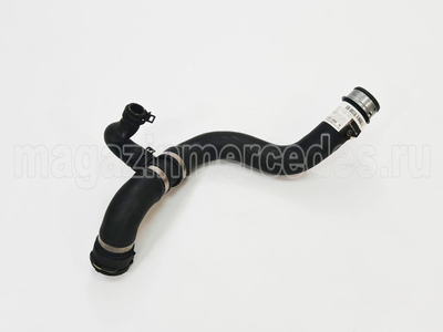   (,      Mercedes 
A1665008675)