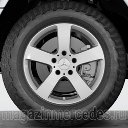    G class W465 EQG class R18