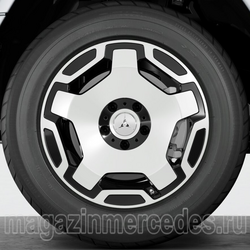    G class W465 EQG class R19