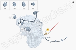 ������ ������� �������� ������� ���������������� Mercedes