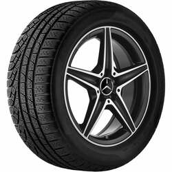     R18 C class W205 Michelin Alpin PA 4 MO