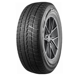 255/40R19 100H Grip Winter Plus TL